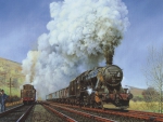 Stanier 8F  48448