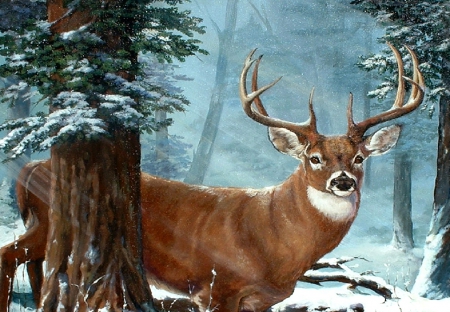 Big Buck - buck, trees, winter, deer, snow