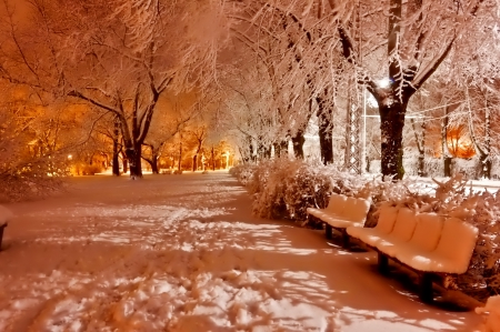 Winter - sky, trees, photography, sun, wonderful, cold, tree, ice, snowflake, winter, snowflakes, lovely, nature, snow, beautiful, splendor, photo