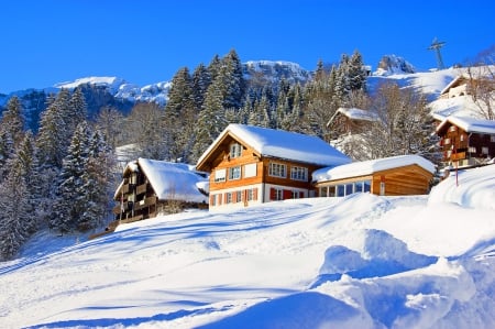 Winter mountain - trees, ski, winter, beautiful, chalets, snow, slope, resort, lovely, rest, white, cabins, cottages, hotel, houses, sky