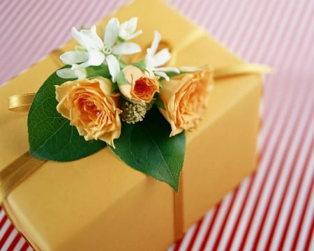 Gift for you