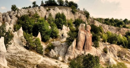 Stone Wedding, Bulgaria - trees, stone, photography, wedding, photo, Bulgaria, mountain, nature, green, nice, rocks