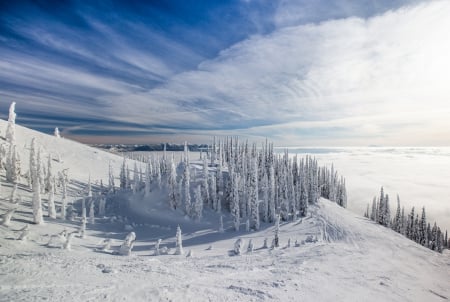 *** Beautiful winter *** - snow, trees, winterr, nature