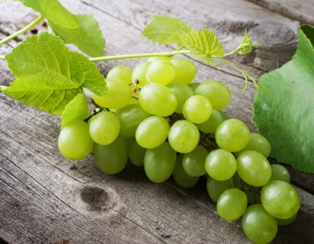 *** Grapes *** - fresh, fruits, nature, grapes