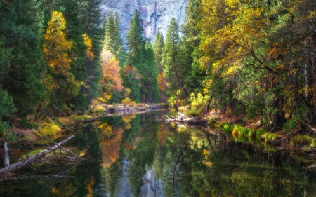 *** River flowing through a forest *** - nature, fall, autumn, forest, river