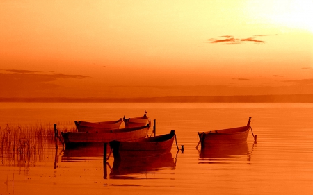 Boats at Sunset - water, sunset, boats, landscape