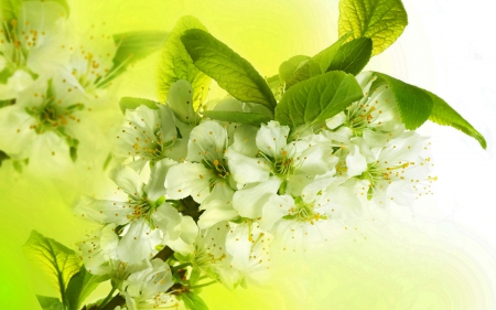 ♥ Flowering trees  ♥ - flowers, trees, nature, flower, flowering