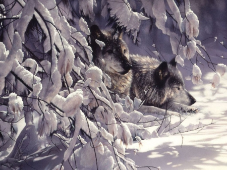 Watchguards - twigs, trees, winter, Wolves, predators, snow, wildlife