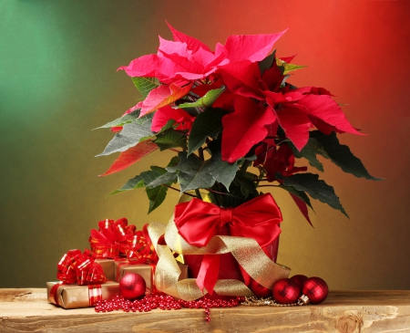 â—â—â— Winter Holidays â—â—â— - centerpiece, christmas time, globes, presents, arrangement, red bow, poinsettia