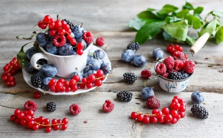 â™¥ Berries â™¥ - fresh, berries, fruits, nature