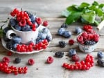 â™¥ Berries â™¥