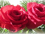 â™¥ Red Rosees â™¥