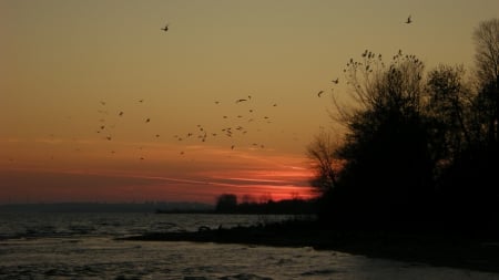 Lake Ontario, sunset, Rotary Park, Ajax - ontario, autumn, sunsets, canada, birds