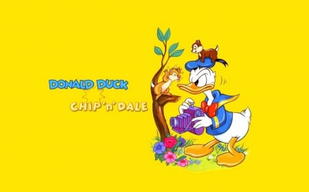 Donald Duck - donald, duck, cartoon, tv, series