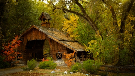 wooden hut in a forest - hut, wooden, fall, forest