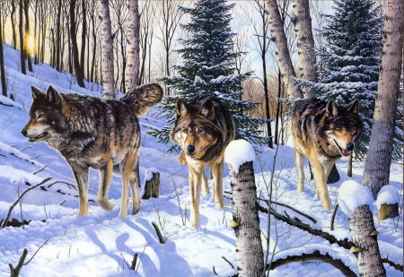 Winter Wolves - wolfpack, wolf, predators, artwork, snow