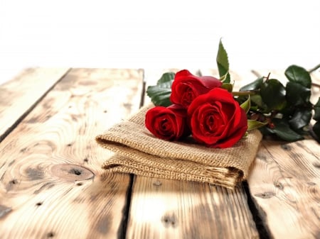 With Love - with love, nature, roses, valentines day, for you, flowers, rose, red roses