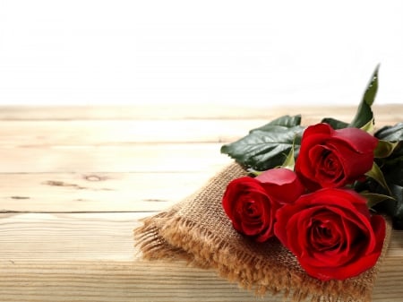 Red Roses - flowers, roses, for you, nature, valentines day, rose, red roses, with love