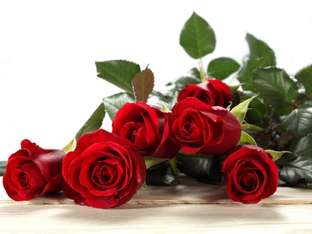 Roses - with love, nature, roses, valentines day, for you, flowers, rose, red roses