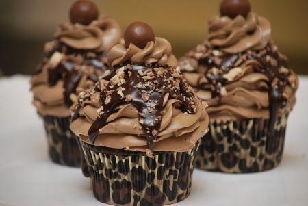 cupcakes - entertainment, fun, yummy, foods, cupcakes