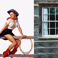 Cowgirl On A Fence