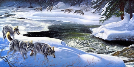 Wolfpack - ice, wolves, nature, trees, snow, river, artwork