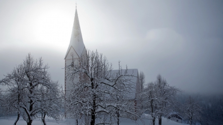 beautiful church on a winter day - winter, trees, church, mist