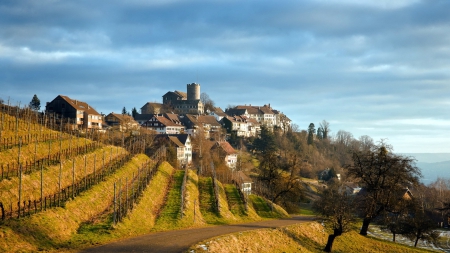 vineyards around a hill town - road, vineyard, hills, town