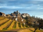 vineyards around a hill town