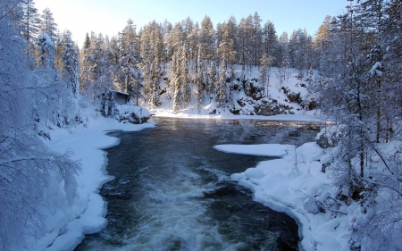 Winter River - sky, trees, water, winter, nature, white, forest, cold, snow, blue, river, freeze