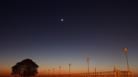 quarter moon over a pier - moon, tree, sky, pier