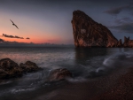 bird flying over mighty rocks on seashore