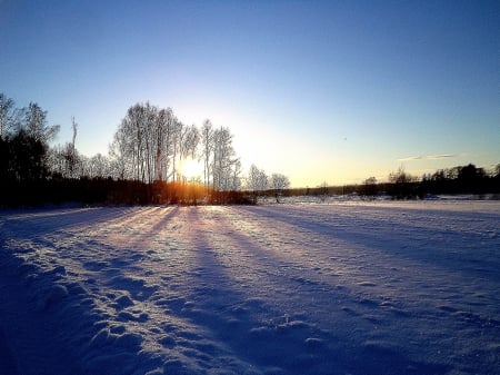 Sunset. - sunsets, fields, winter, nature