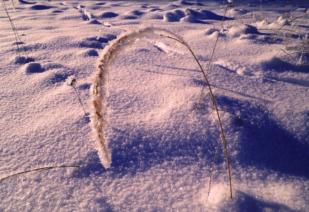 Winter. - winter, nature, others, fields