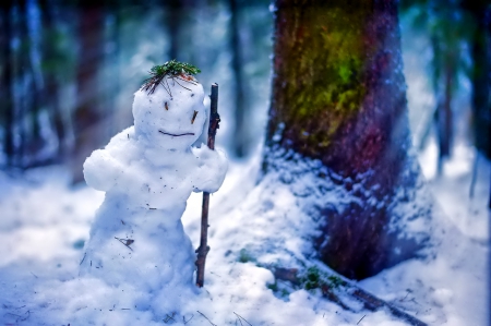 Snowmen - snowflake, beautiful, photography, tree, wonderful, nature, cold, winter, snowflakes, photo, sun, sky, lovely, splendor, ice, trees, snow