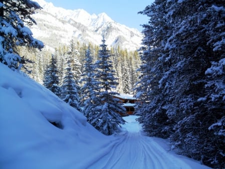 Winter in Canada - nice, cottage, trees, path, road, rocks, pretty, america, house, snowy, hills, landscape, mountain, winter, peaks, lovely, chalet, covered, snow, beautiful, rest, canada, cabin