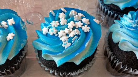 Scrumptous Cupcakes - cake, blue cupcake, scrumptous cupcakes, cupcakes, dessert