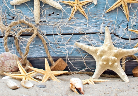 Starfish - star, seashell, blue, seashells, marine, sand, natural, shell, starfish, sandy, nature