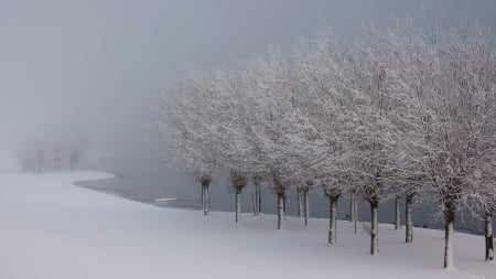 *** Winter *** - winter, nature, trees, snow