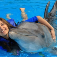 A Love For Dolphins