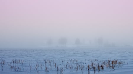 Lake - nature, water, lake, mist