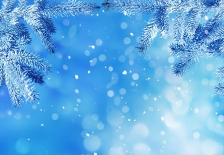 Winter - bokeh, winter, winter time, nature, snowy, snow, tree