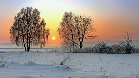 Sunset - winter, trees, sunset, snow