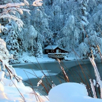 A winter's day