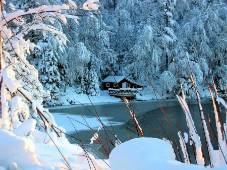 A winter's day - quiet, cabin, snow, forest, calmness, shore, frost, lake, cottage, house, branches, trees, winter, beautiful, lovely, frozen, white, nature, serenity, day