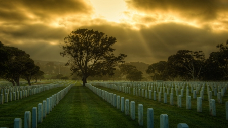 heavenly sun rays over a military cemetery - cemetery, trees, clouds, grass, sun rays, military