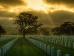 heavenly sun rays over a military cemetery