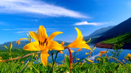 NATURE the GLORY - view, sky, lake, mountains, flowers