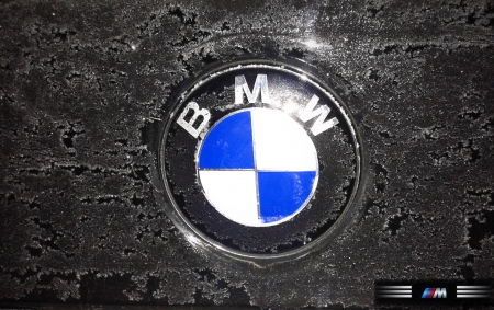 BMW walpaper - e46, logo, club, bmw walpaper