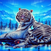 The king of forest